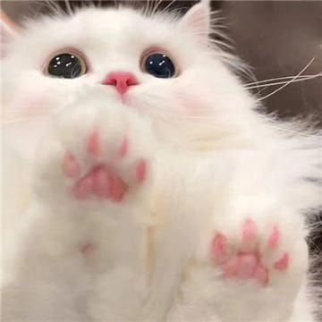 Avatar người dùng Nguyễn Văn Phúc