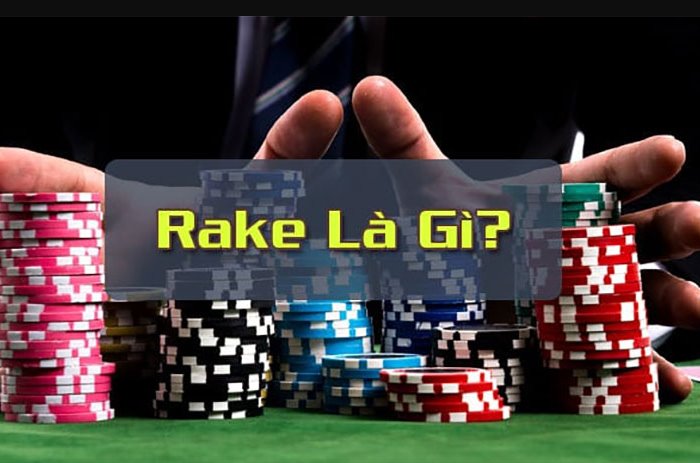Rake trong poker là gì? Rake ảnh hưởng thế nào tới người chơi